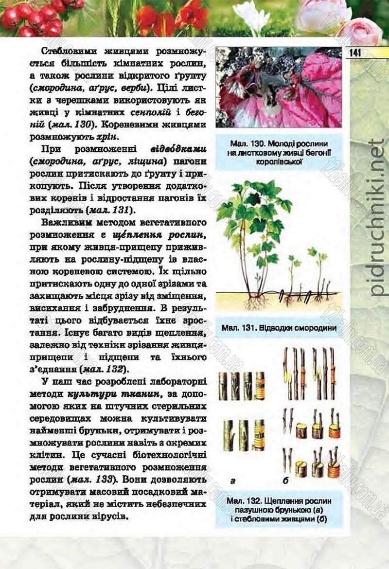Сторінка 141 - Підручник Біологія 6 клас Костіков 2014 - скачати онлайн