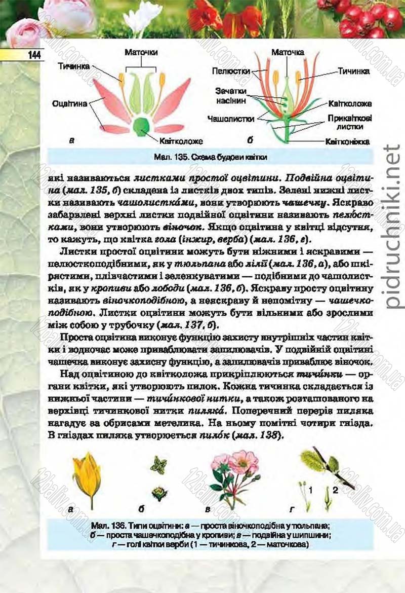 Сторінка 144 - Підручник Біологія 6 клас Костіков 2014 - скачати онлайн