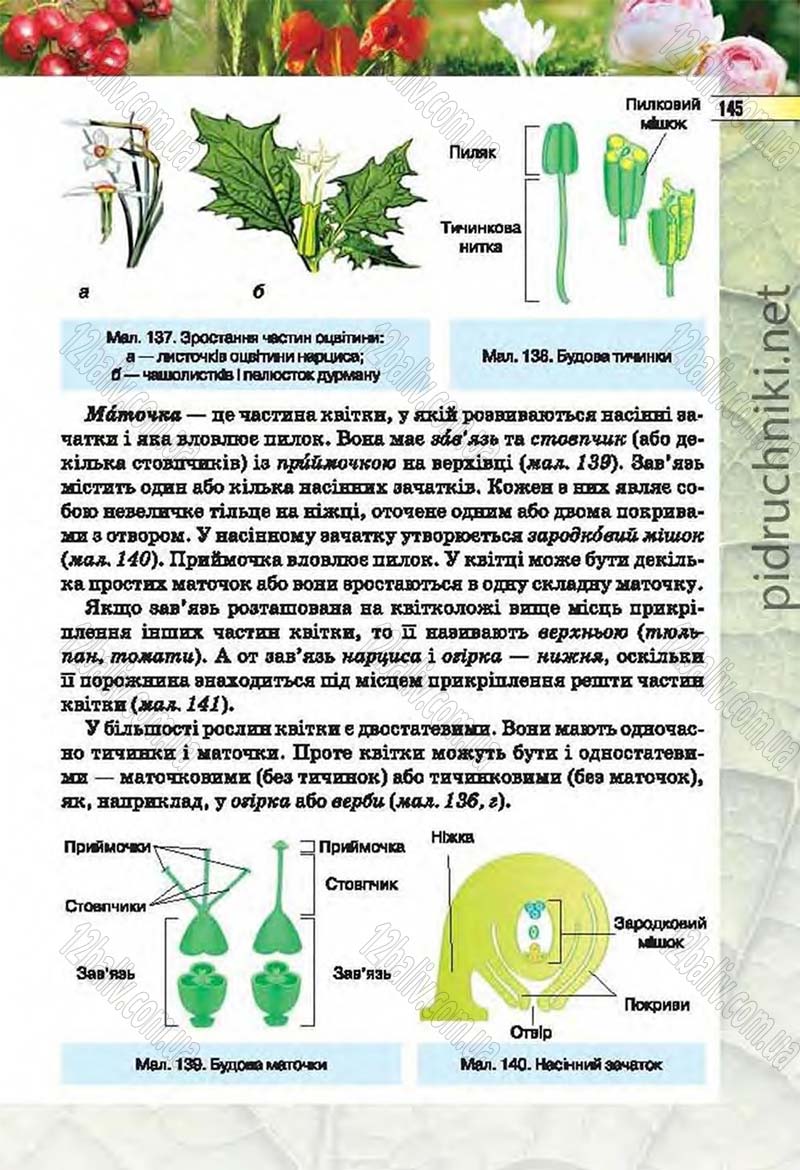 Сторінка 145 - Підручник Біологія 6 клас Костіков 2014 - скачати онлайн