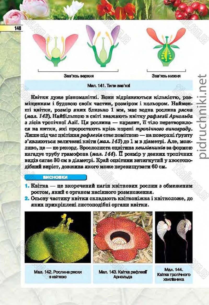 Сторінка 146 - Підручник Біологія 6 клас Костіков 2014 - скачати онлайн