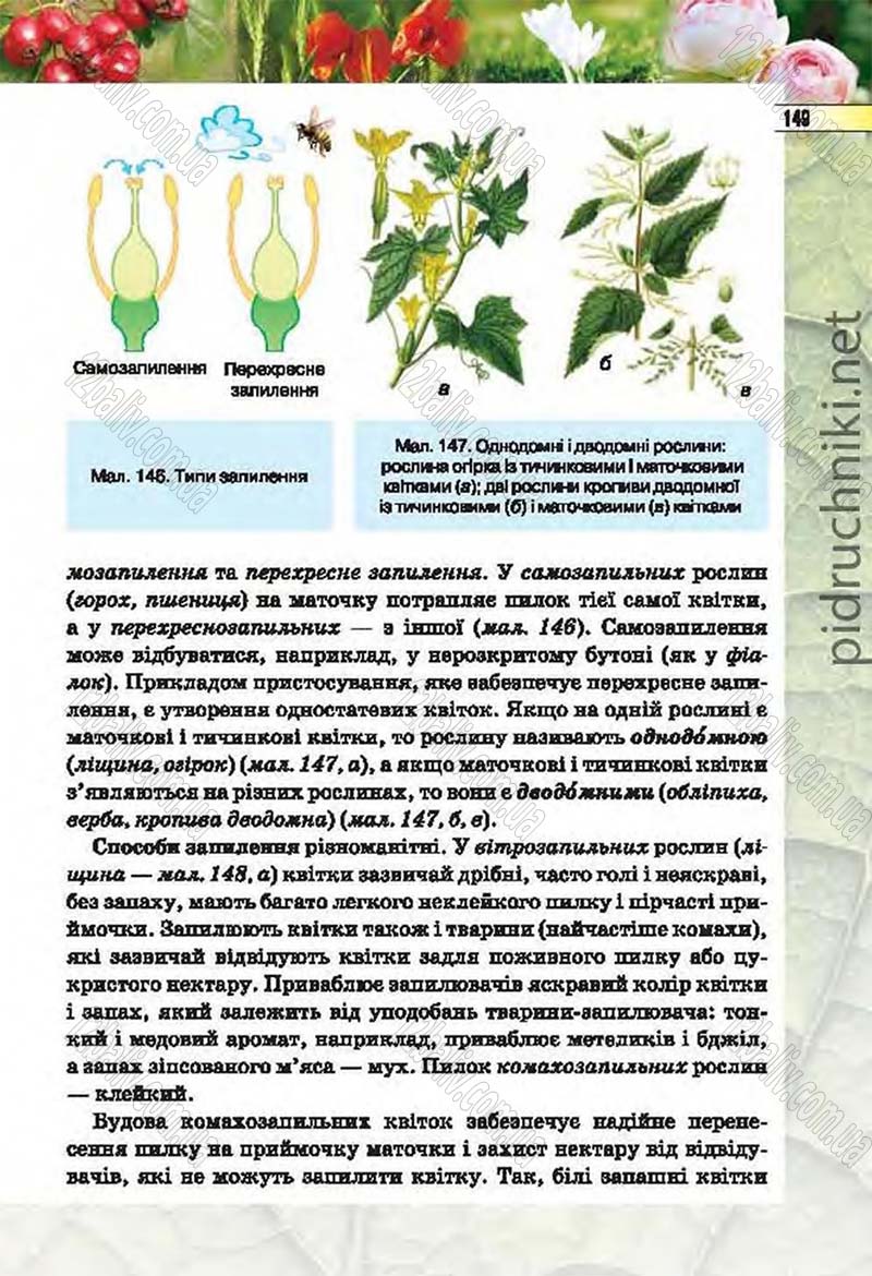 Сторінка 149 - Підручник Біологія 6 клас Костіков 2014 - скачати онлайн
