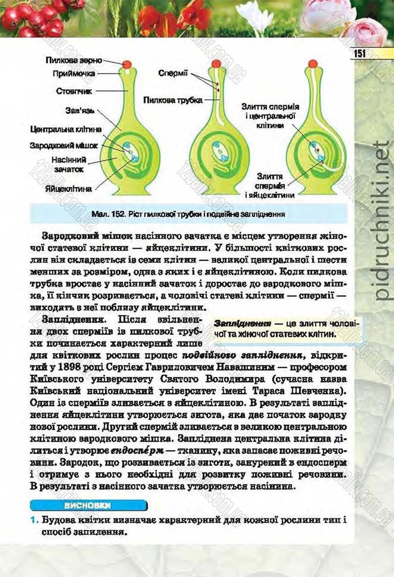 Сторінка 151 - Підручник Біологія 6 клас Костіков 2014 - скачати онлайн