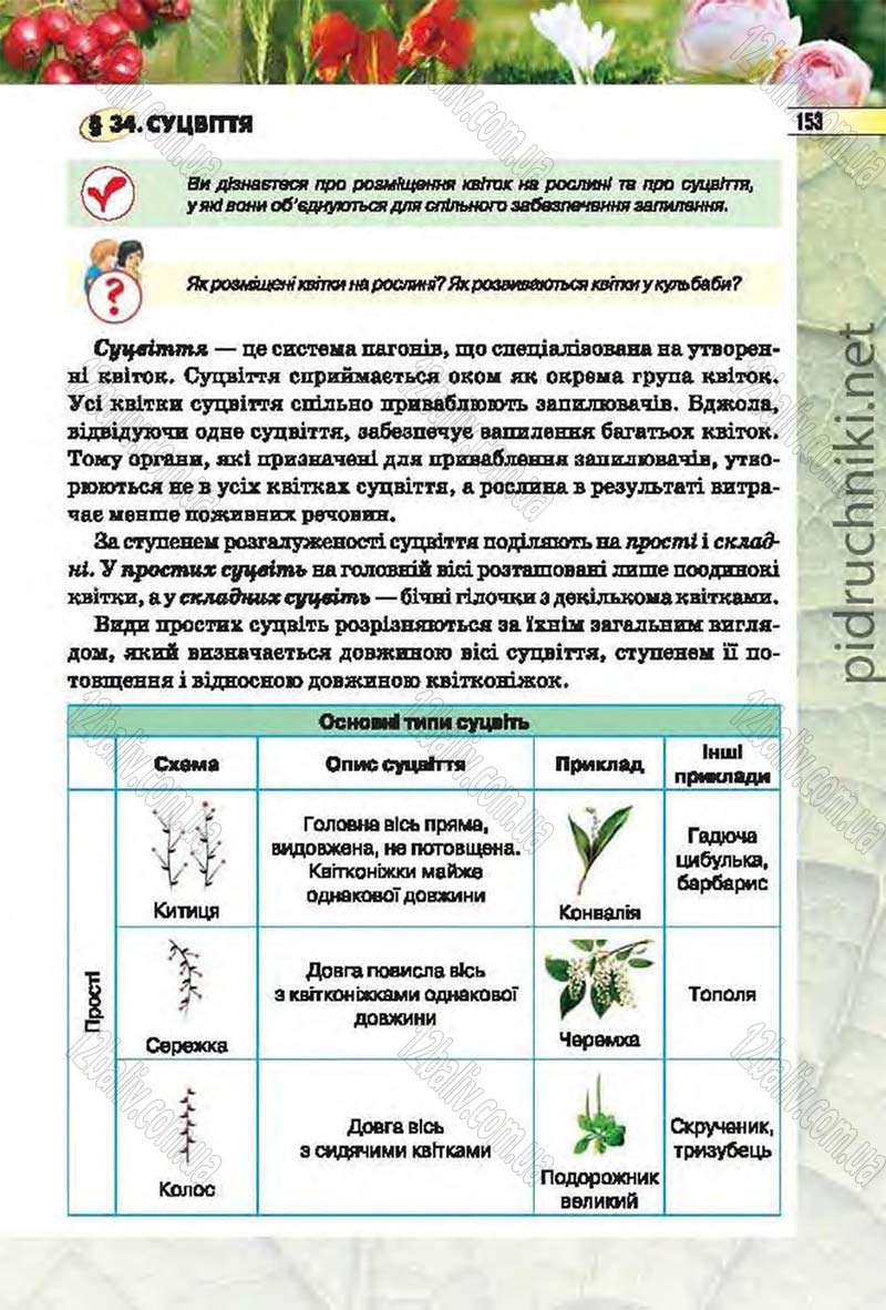 Сторінка 153 - Підручник Біологія 6 клас Костіков 2014 - скачати онлайн