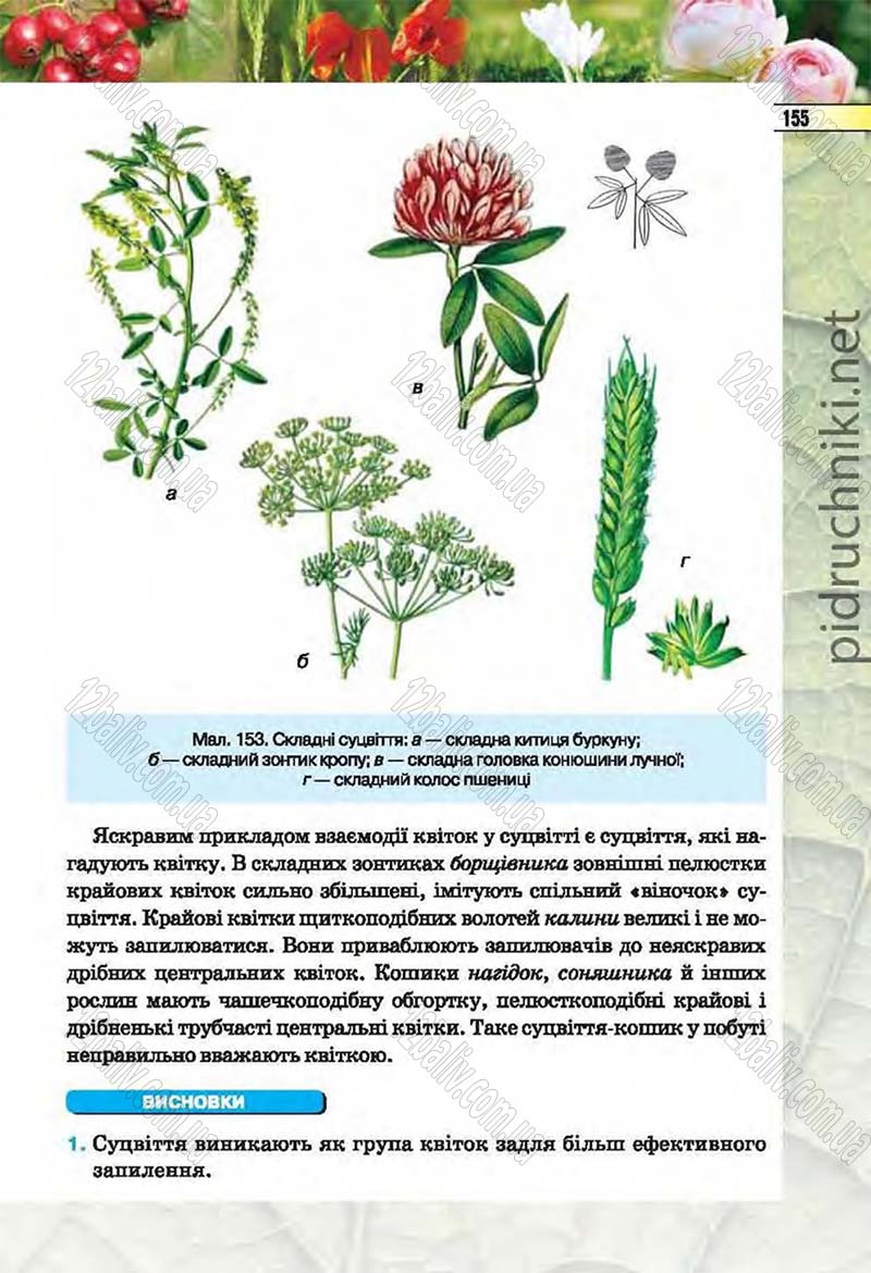 Сторінка 155 - Підручник Біологія 6 клас Костіков 2014 - скачати онлайн