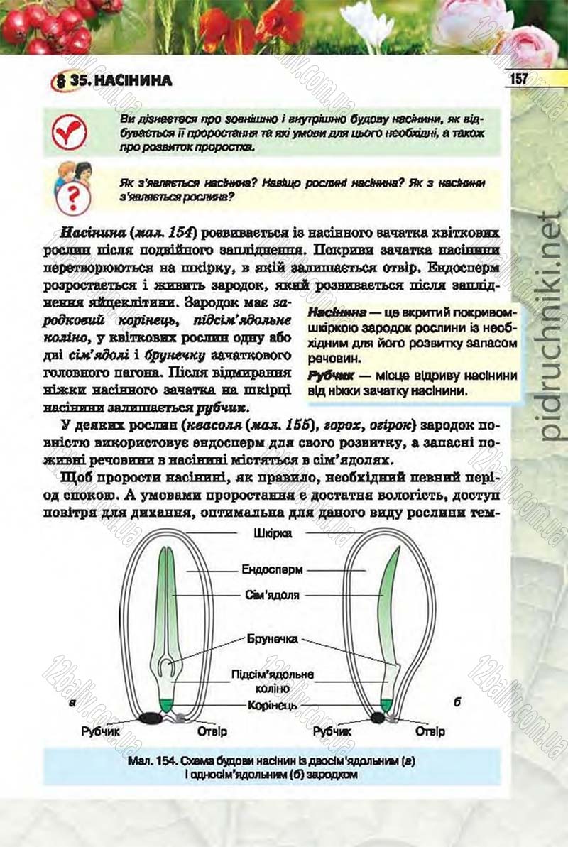 Сторінка 157 - Підручник Біологія 6 клас Костіков 2014 - скачати онлайн