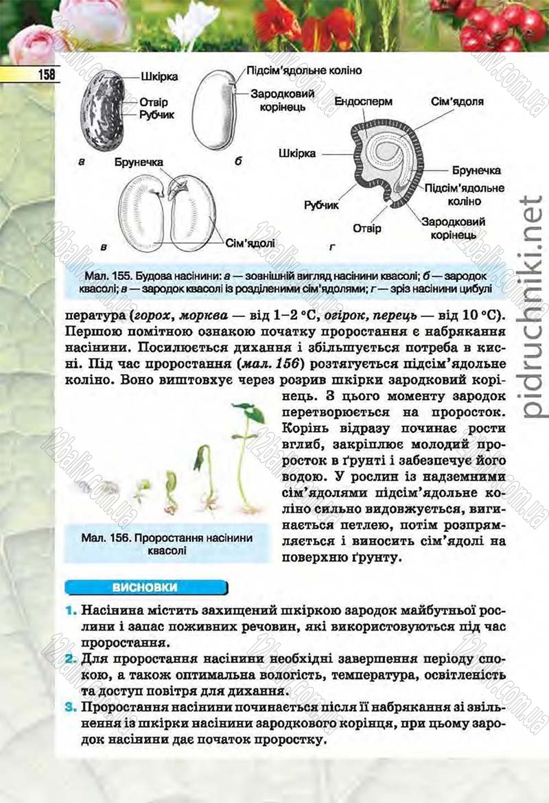 Сторінка 158 - Підручник Біологія 6 клас Костіков 2014 - скачати онлайн