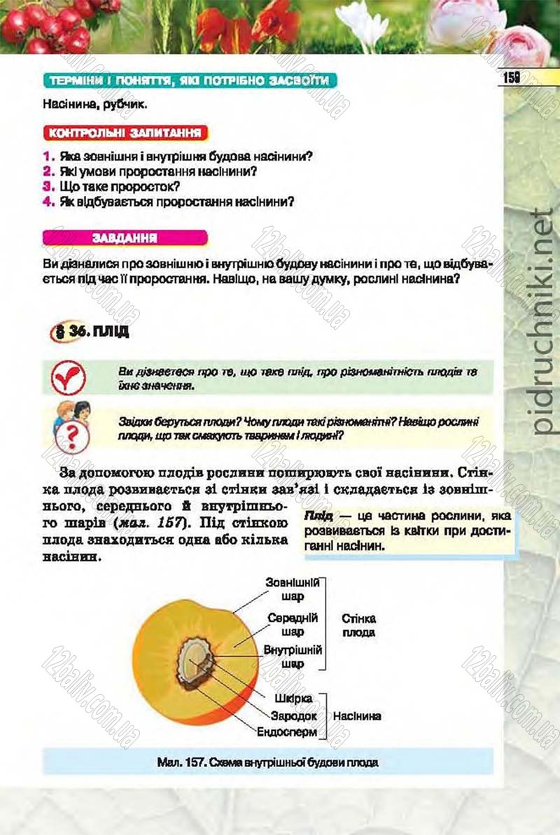 Сторінка 159 - Підручник Біологія 6 клас Костіков 2014 - скачати онлайн