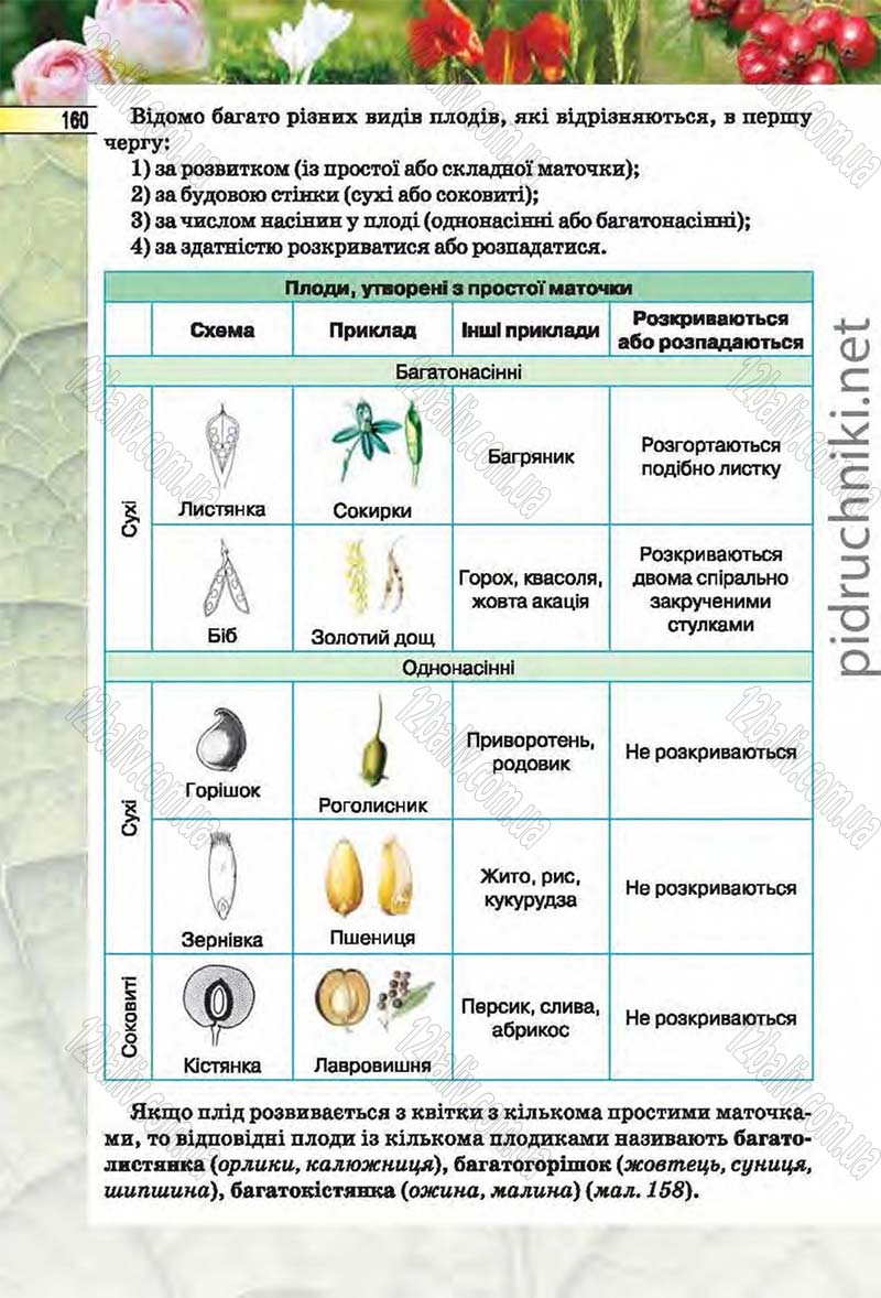 Сторінка 160 - Підручник Біологія 6 клас Костіков 2014 - скачати онлайн