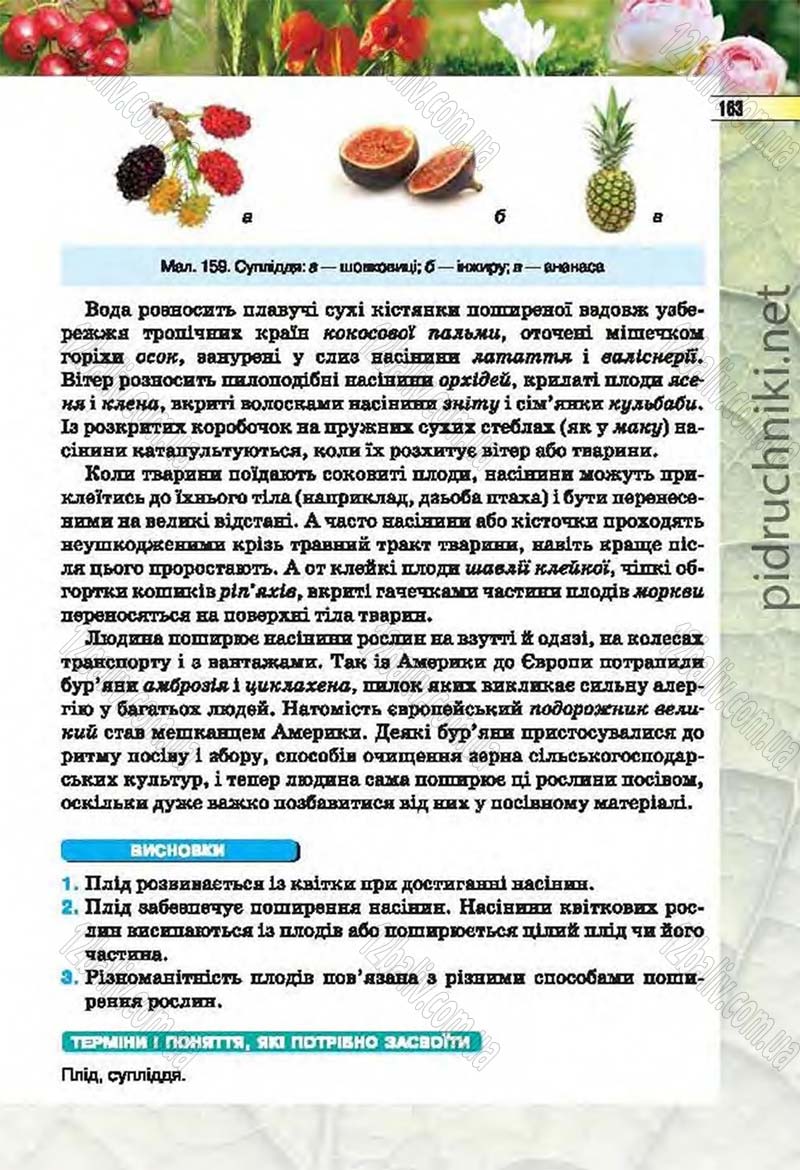 Сторінка 163 - Підручник Біологія 6 клас Костіков 2014 - скачати онлайн
