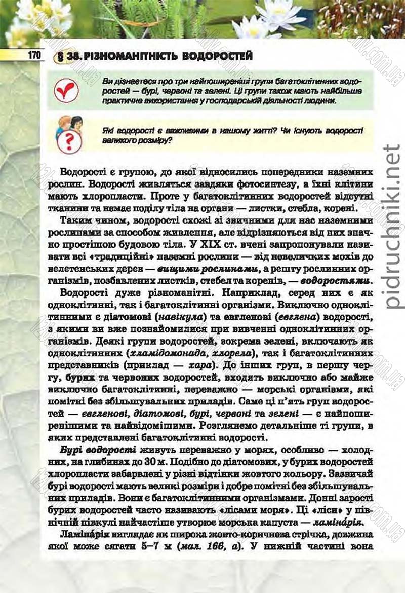 Сторінка 170 - Підручник Біологія 6 клас Костіков 2014 - скачати онлайн