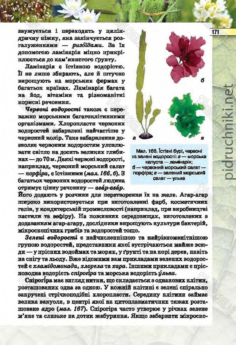 Сторінка 171 - Підручник Біологія 6 клас Костіков 2014 - скачати онлайн