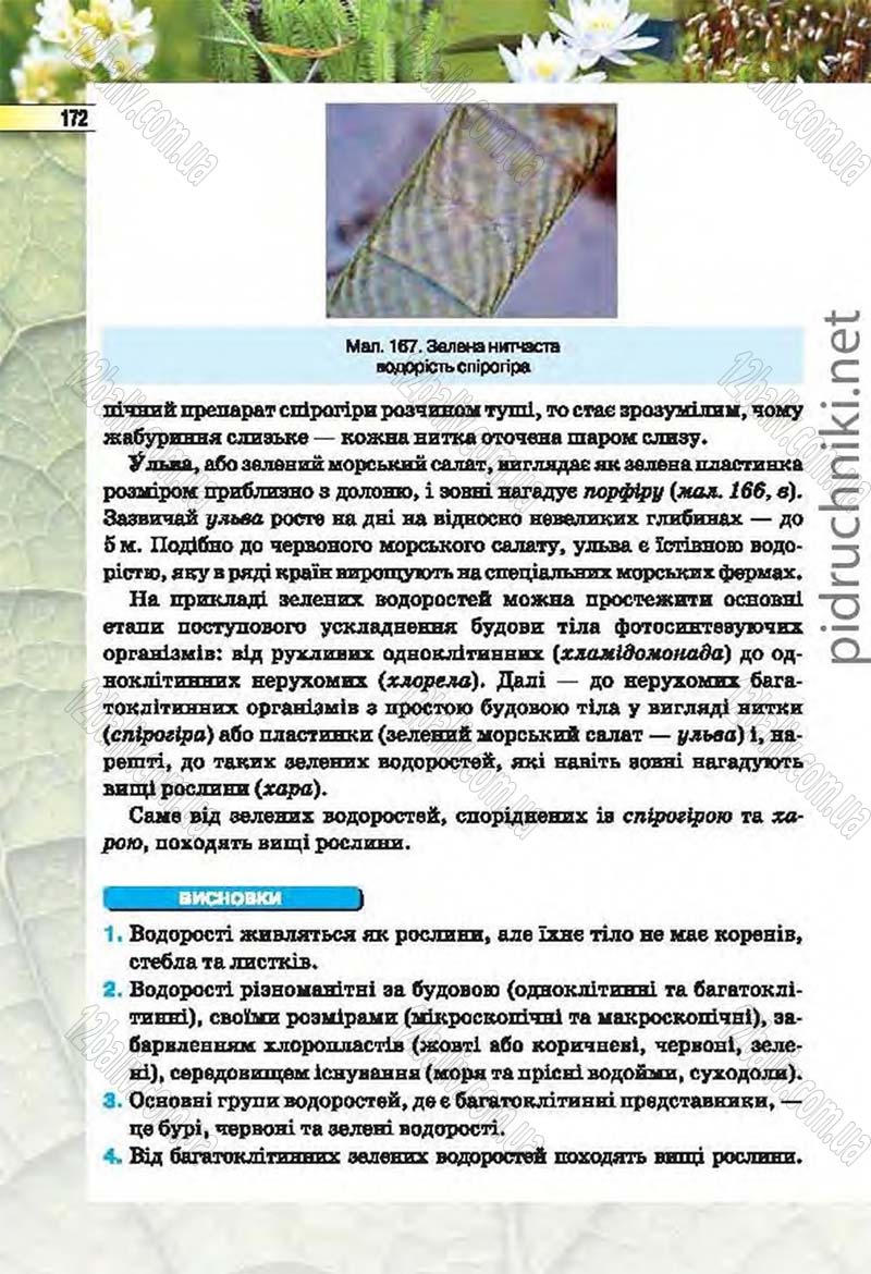 Сторінка 172 - Підручник Біологія 6 клас Костіков 2014 - скачати онлайн