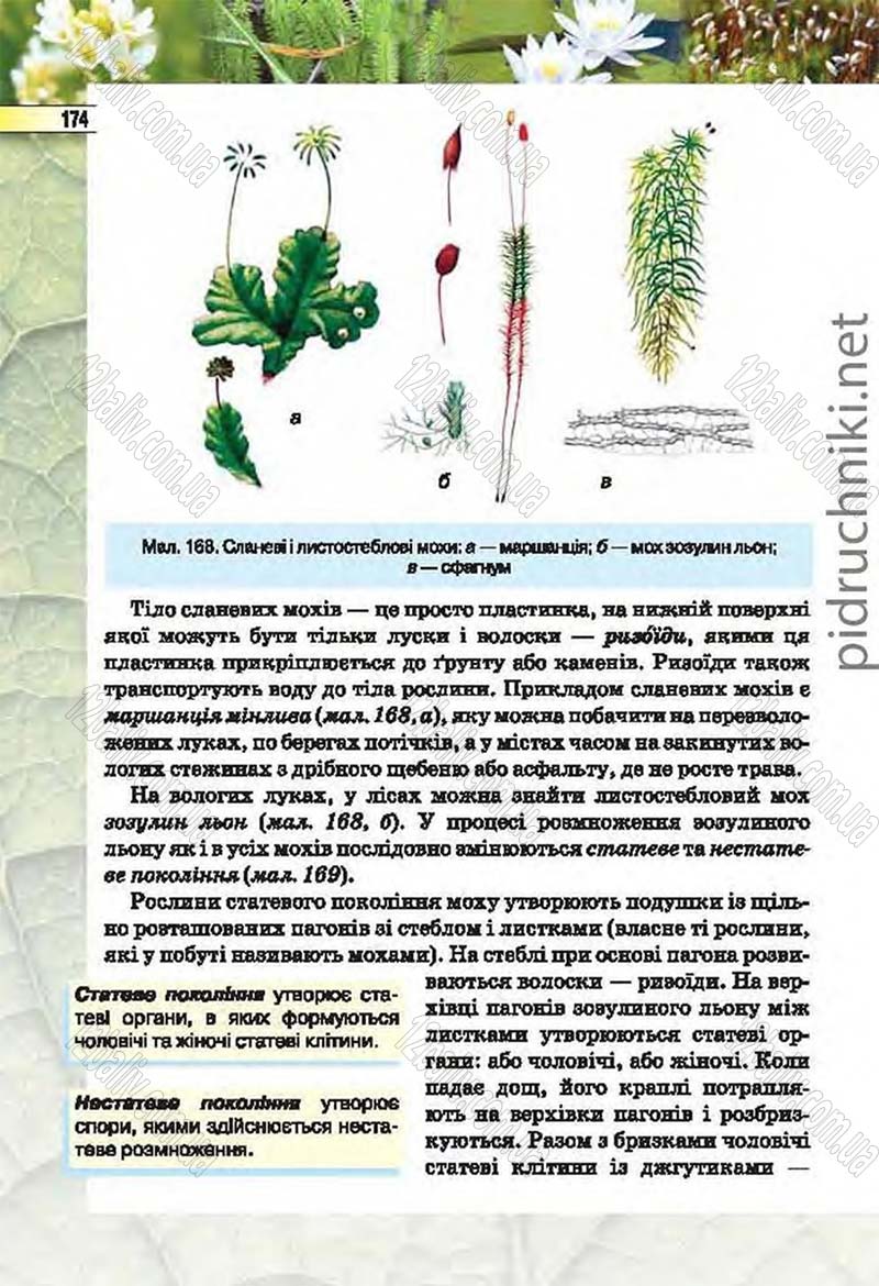 Сторінка 174 - Підручник Біологія 6 клас Костіков 2014 - скачати онлайн