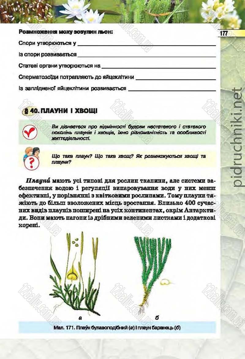 Сторінка 177 - Підручник Біологія 6 клас Костіков 2014 - скачати онлайн