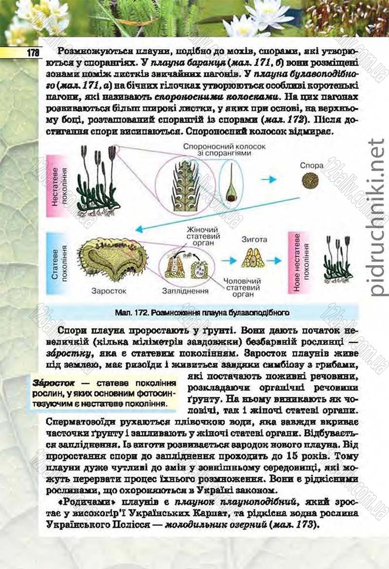 Сторінка 178 - Підручник Біологія 6 клас Костіков 2014 - скачати онлайн