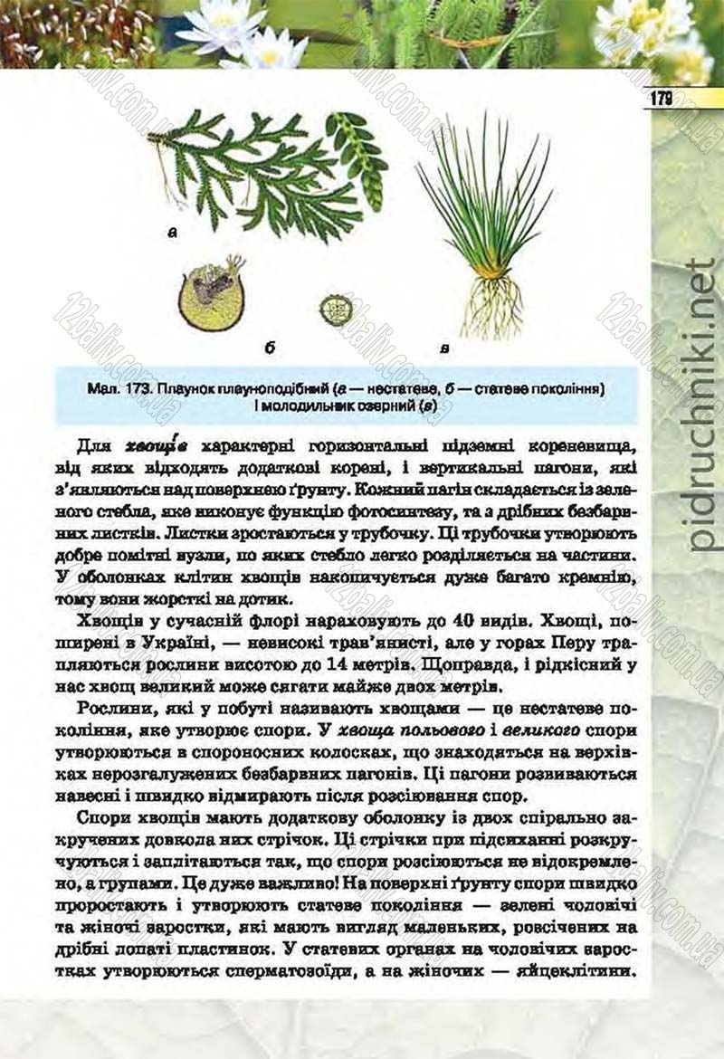 Сторінка 179 - Підручник Біологія 6 клас Костіков 2014 - скачати онлайн