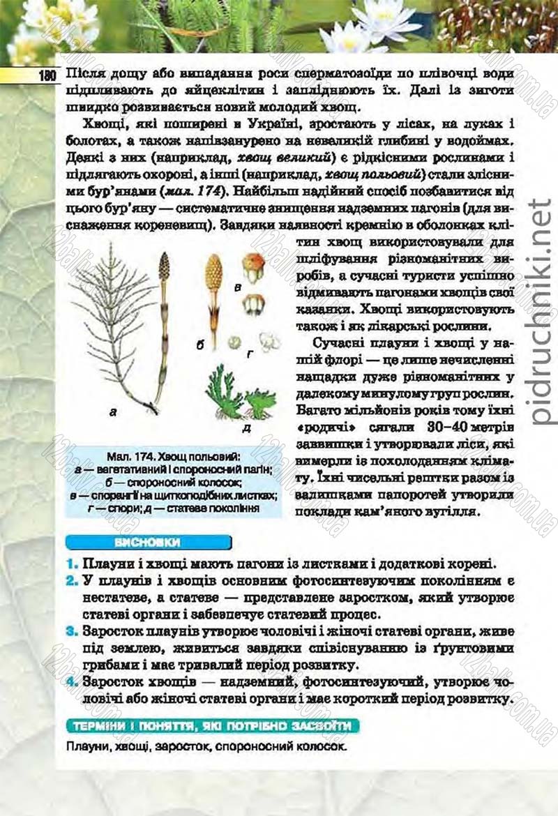 Сторінка 180 - Підручник Біологія 6 клас Костіков 2014 - скачати онлайн
