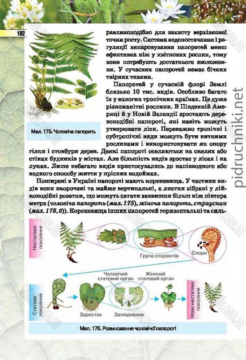 Сторінка 182 - Підручник Біологія 6 клас Костіков 2014 - скачати онлайн