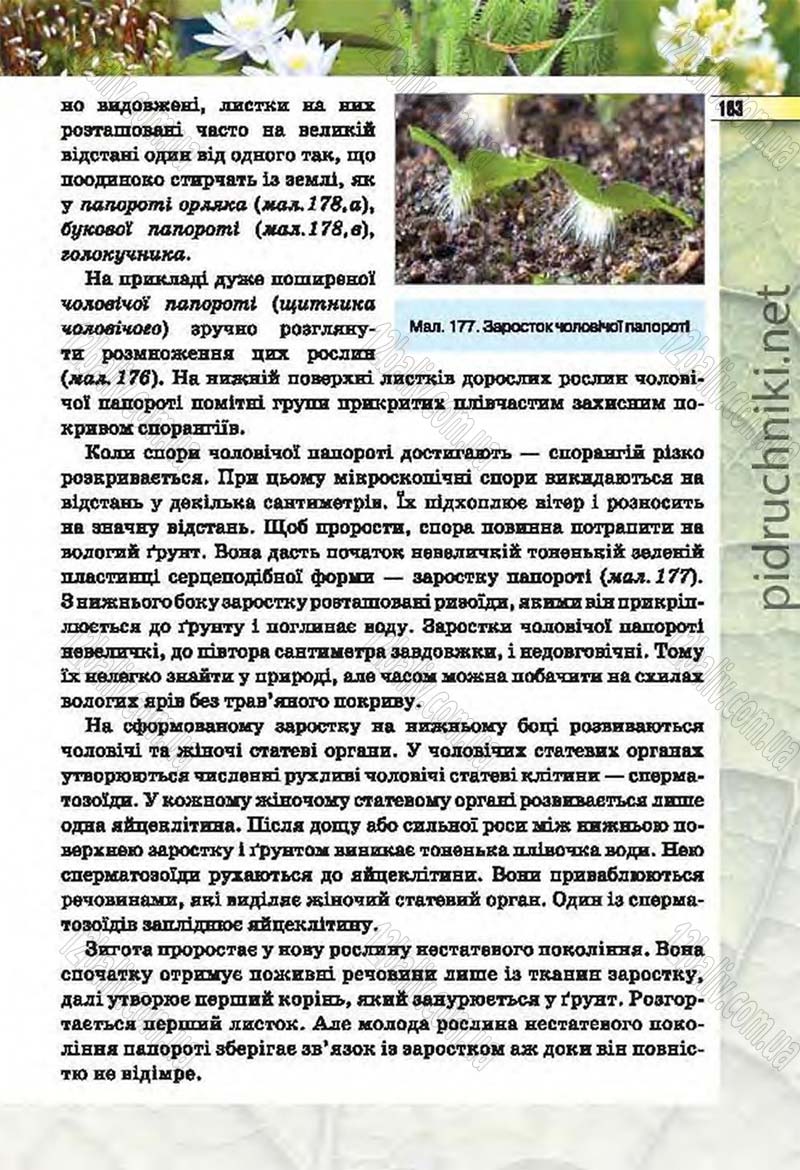 Сторінка 183 - Підручник Біологія 6 клас Костіков 2014 - скачати онлайн