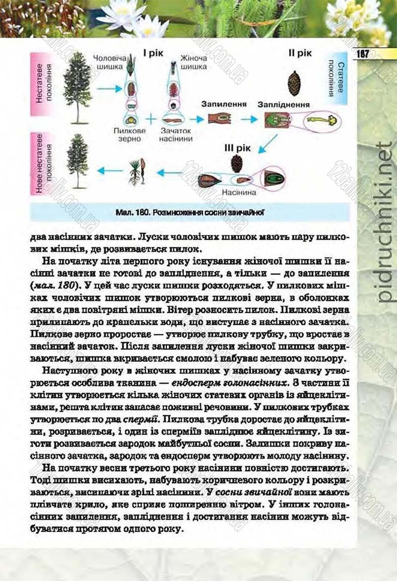 Сторінка 187 - Підручник Біологія 6 клас Костіков 2014 - скачати онлайн