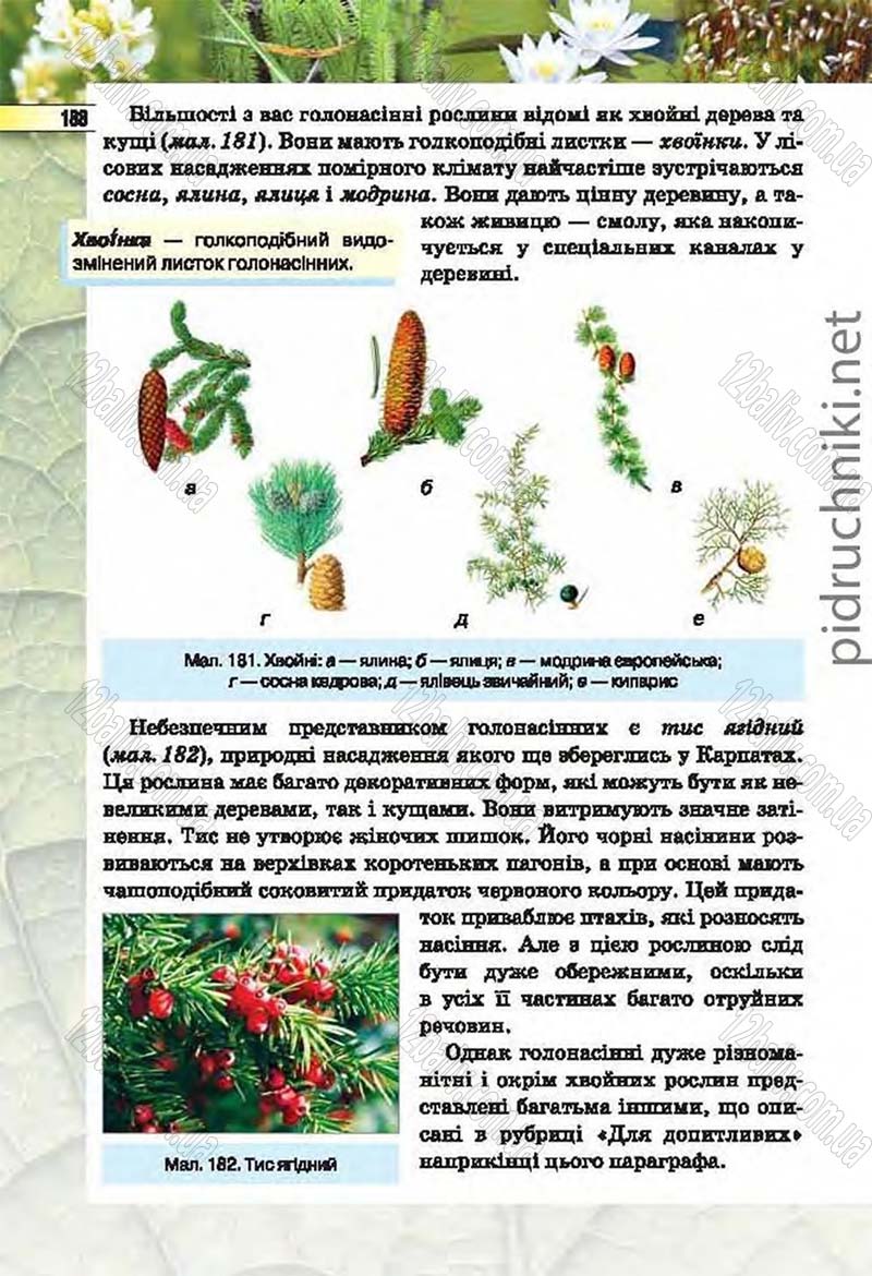 Сторінка 188 - Підручник Біологія 6 клас Костіков 2014 - скачати онлайн