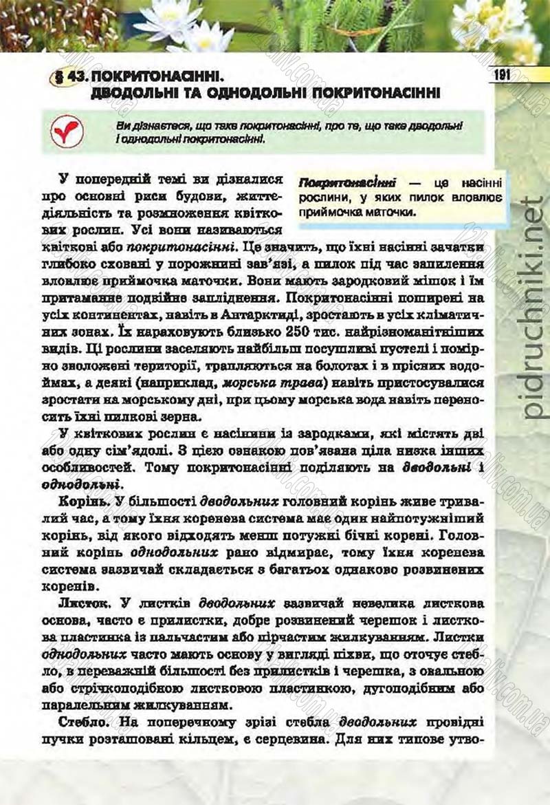 Сторінка 191 - Підручник Біологія 6 клас Костіков 2014 - скачати онлайн