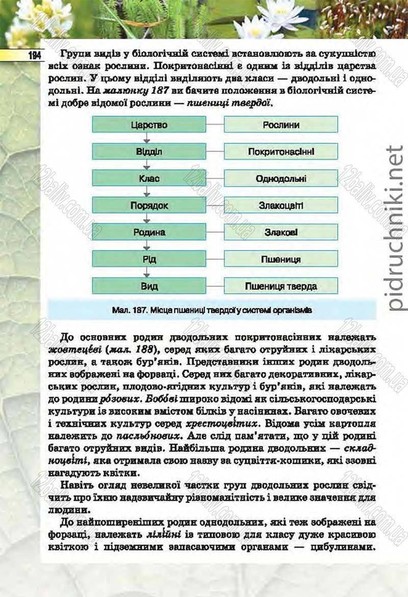 Сторінка 194 - Підручник Біологія 6 клас Костіков 2014 - скачати онлайн