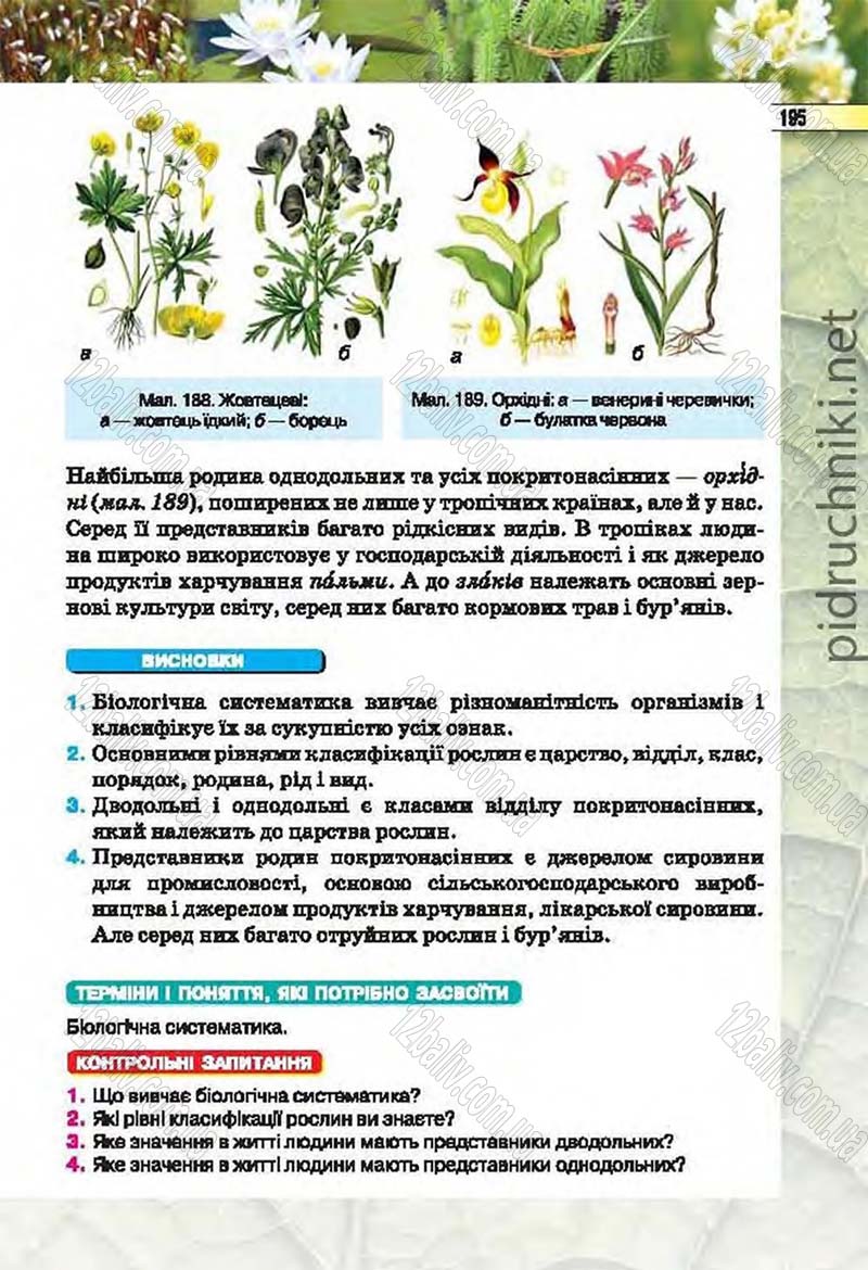 Сторінка 195 - Підручник Біологія 6 клас Костіков 2014 - скачати онлайн