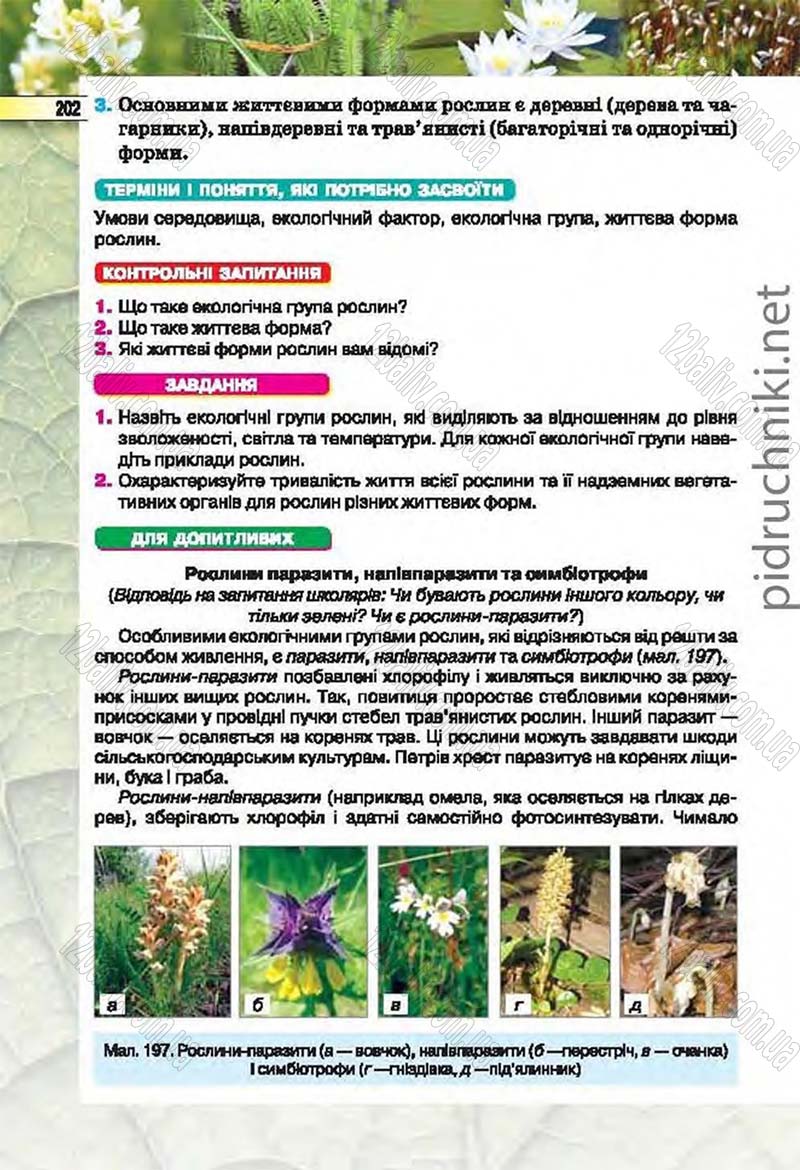 Сторінка 202 - Підручник Біологія 6 клас Костіков 2014 - скачати онлайн