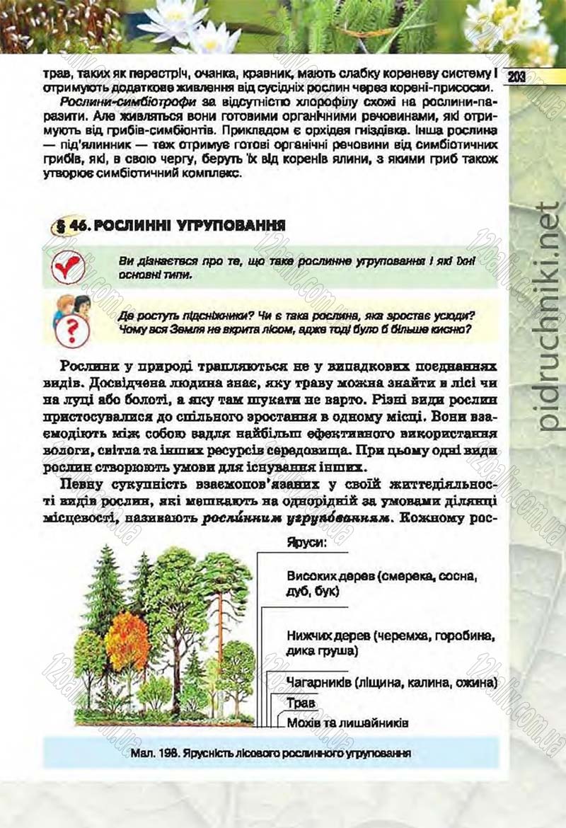 Сторінка 203 - Підручник Біологія 6 клас Костіков 2014 - скачати онлайн