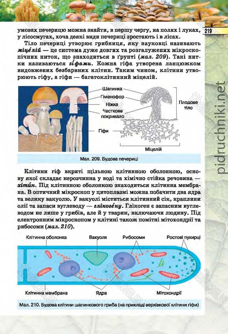 Сторінка 219 - Підручник Біологія 6 клас Костіков 2014 - скачати онлайн