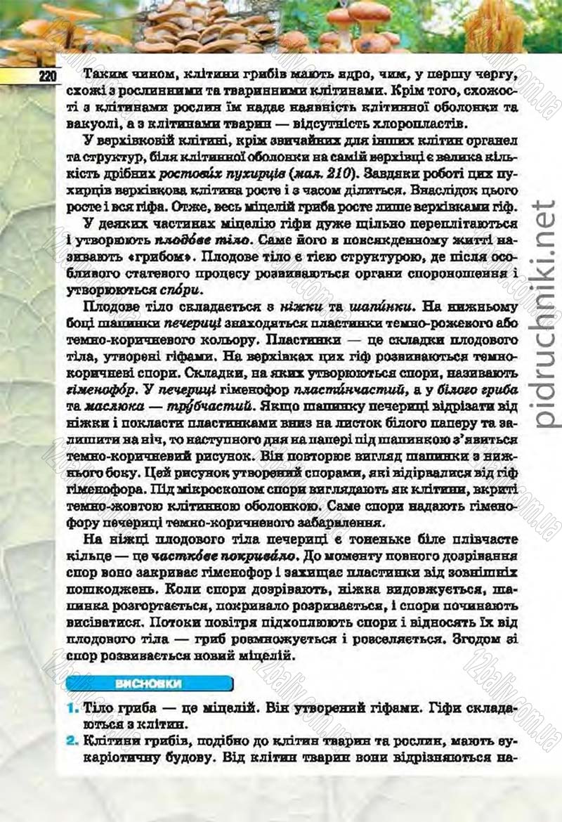 Сторінка 220 - Підручник Біологія 6 клас Костіков 2014 - скачати онлайн