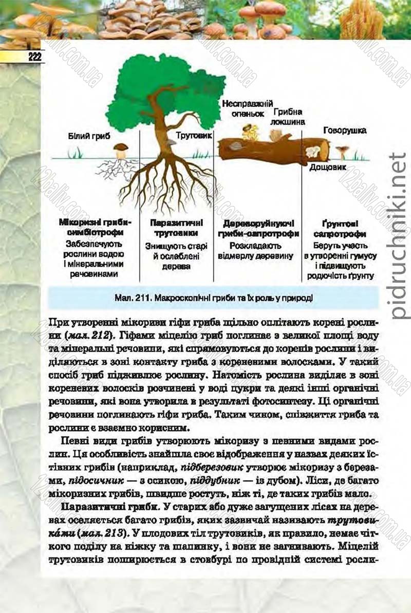 Сторінка 222 - Підручник Біологія 6 клас Костіков 2014 - скачати онлайн
