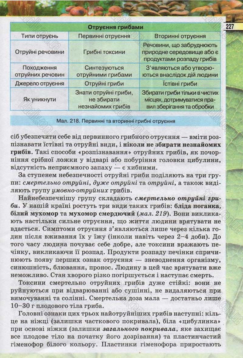 Сторінка 227 - Підручник Біологія 6 клас Костіков 2014 - скачати онлайн