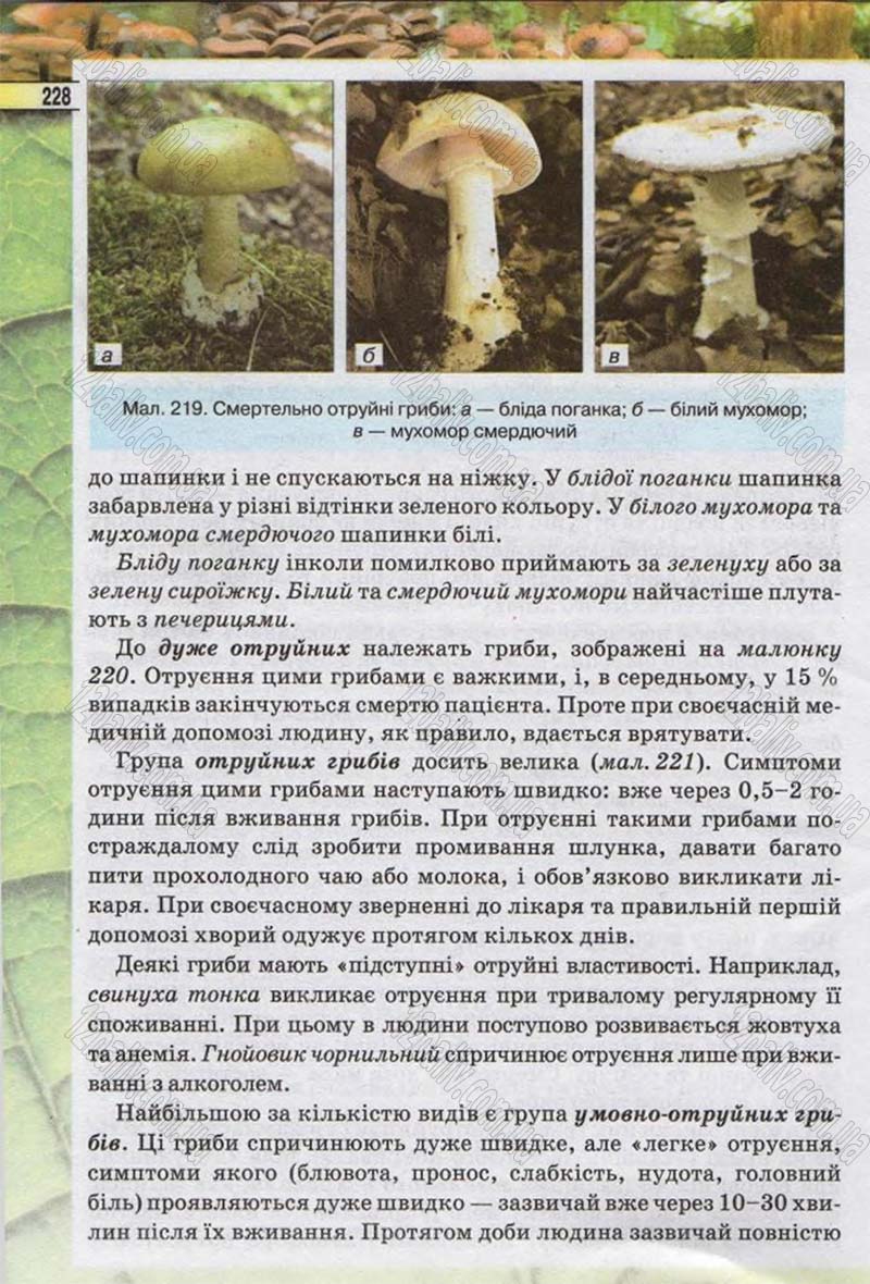 Сторінка 228 - Підручник Біологія 6 клас Костіков 2014 - скачати онлайн