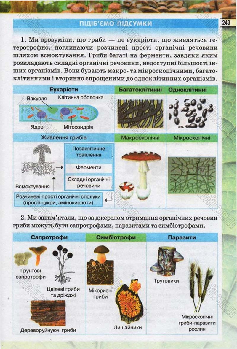 Сторінка 249 - Підручник Біологія 6 клас Костіков 2014 - скачати онлайн