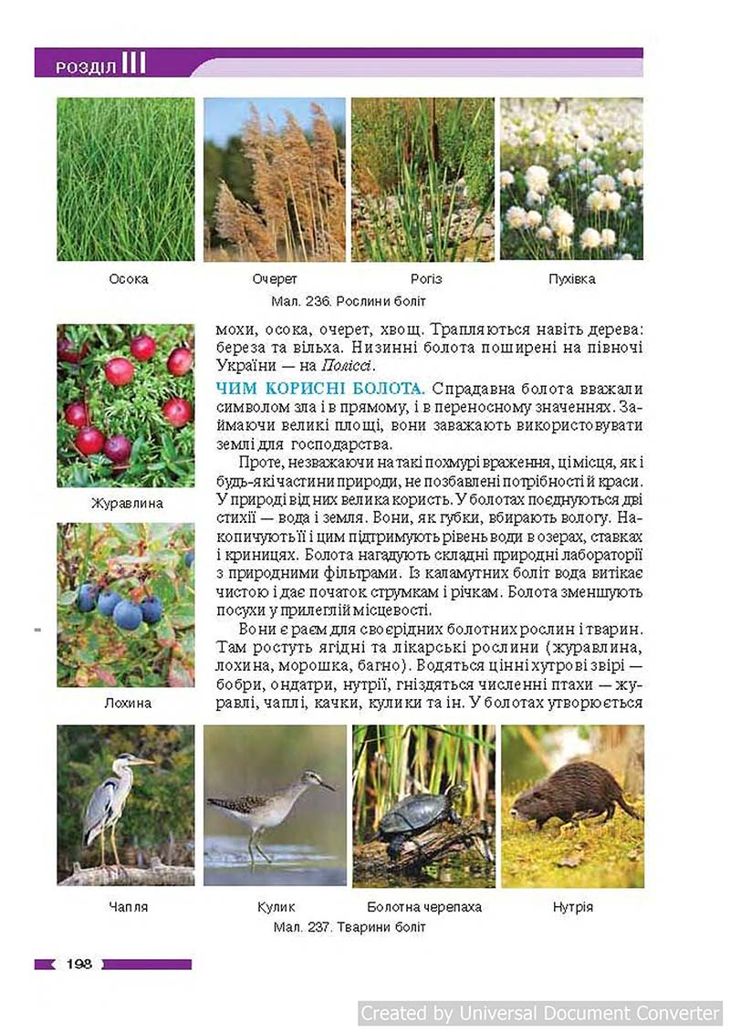 Сторінка 198 - Підручник Географія 6 клас В.М. Бойко, С.В. Міхелі 2014 - скачати учебник