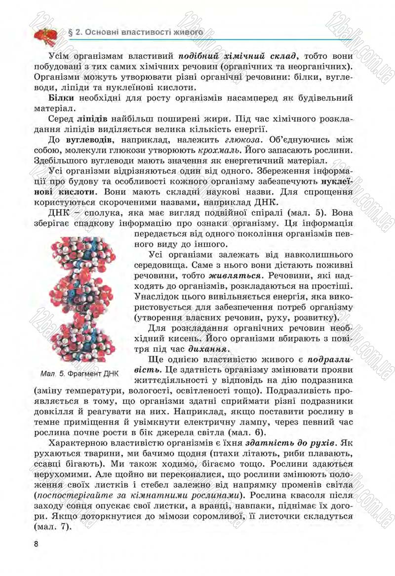 Сторінка 8 - Підручник Біологія 6 клас Л.І. Остапченко, П.Г. Балан, Н.Ю. Матяш 2014