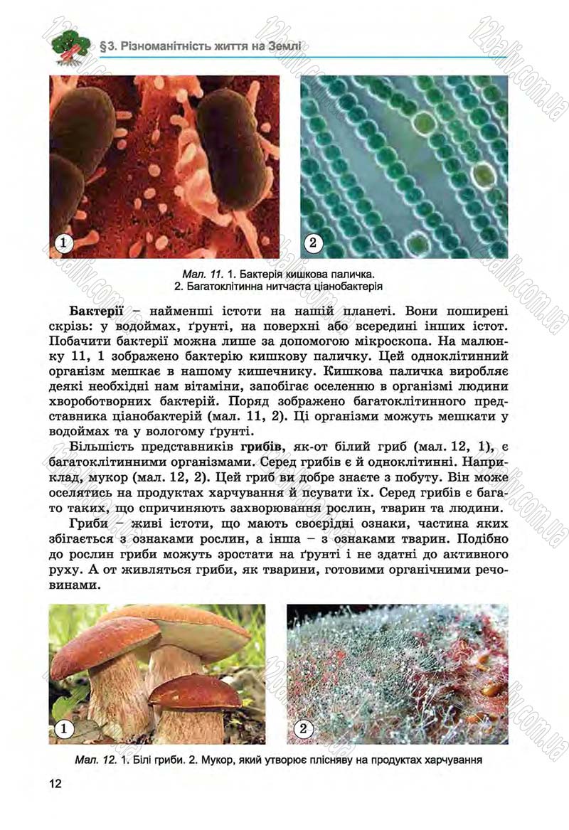 Сторінка 12 - Підручник Біологія 6 клас Л.І. Остапченко, П.Г. Балан, Н.Ю. Матяш 2014