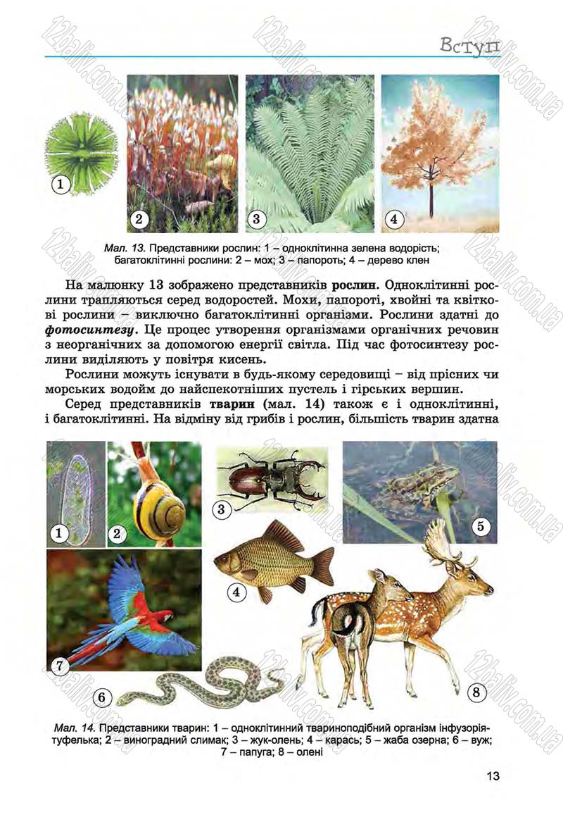 Сторінка 13 - Підручник Біологія 6 клас Л.І. Остапченко, П.Г. Балан, Н.Ю. Матяш 2014