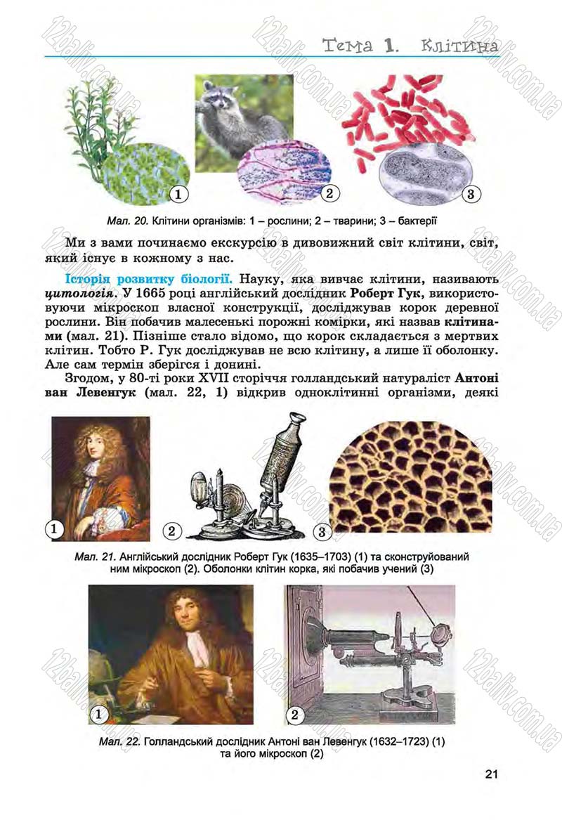 Сторінка 21 - Підручник Біологія 6 клас Л.І. Остапченко, П.Г. Балан, Н.Ю. Матяш 2014