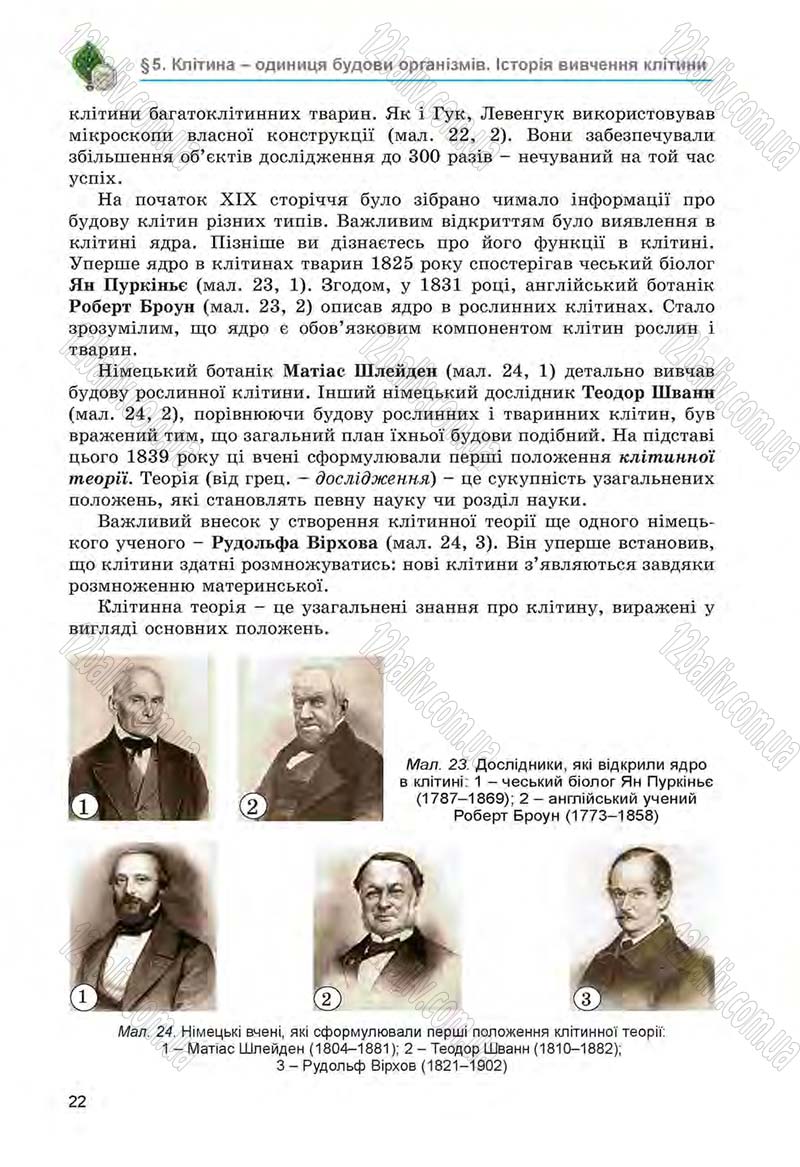 Сторінка 22 - Підручник Біологія 6 клас Л.І. Остапченко, П.Г. Балан, Н.Ю. Матяш 2014