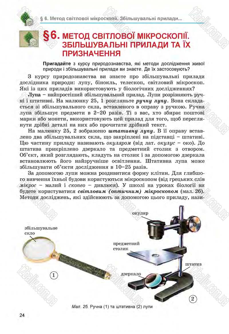 Сторінка 24 - Підручник Біологія 6 клас Л.І. Остапченко, П.Г. Балан, Н.Ю. Матяш 2014