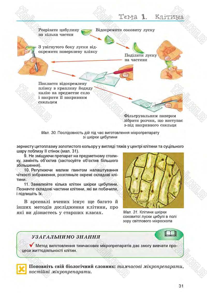 Сторінка 31 - Підручник Біологія 6 клас Л.І. Остапченко, П.Г. Балан, Н.Ю. Матяш 2014
