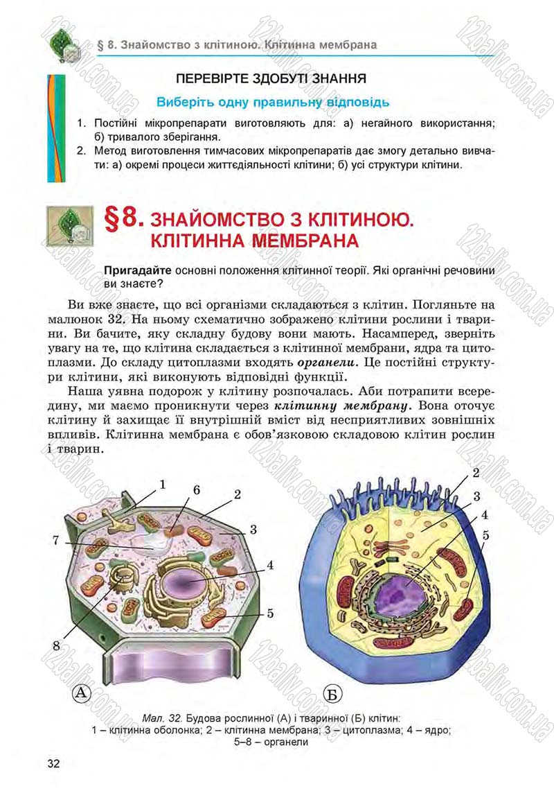 Сторінка 32 - Підручник Біологія 6 клас Л.І. Остапченко, П.Г. Балан, Н.Ю. Матяш 2014