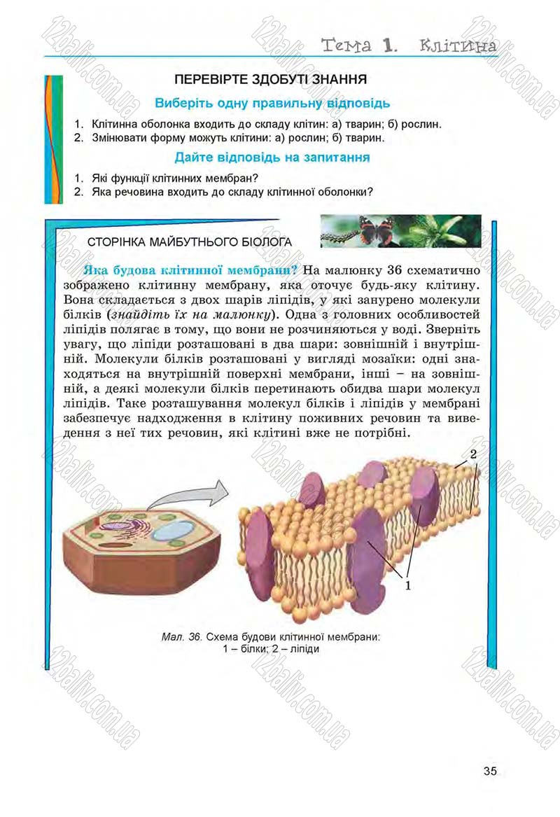 Сторінка 35 - Підручник Біологія 6 клас Л.І. Остапченко, П.Г. Балан, Н.Ю. Матяш 2014