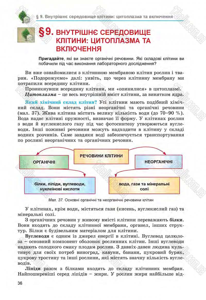 Сторінка 36 - Підручник Біологія 6 клас Л.І. Остапченко, П.Г. Балан, Н.Ю. Матяш 2014