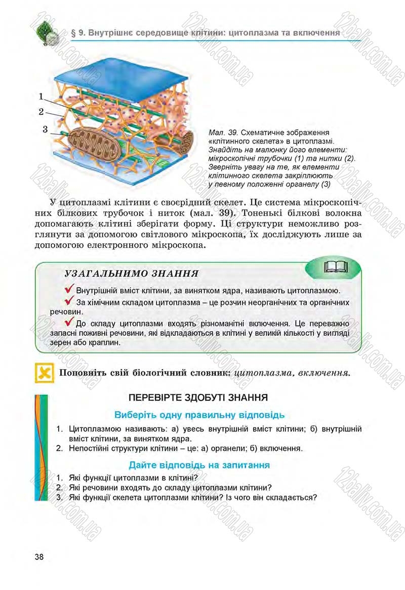 Сторінка 38 - Підручник Біологія 6 клас Л.І. Остапченко, П.Г. Балан, Н.Ю. Матяш 2014