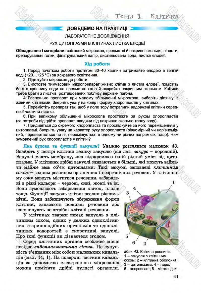 Сторінка 41 - Підручник Біологія 6 клас Л.І. Остапченко, П.Г. Балан, Н.Ю. Матяш 2014