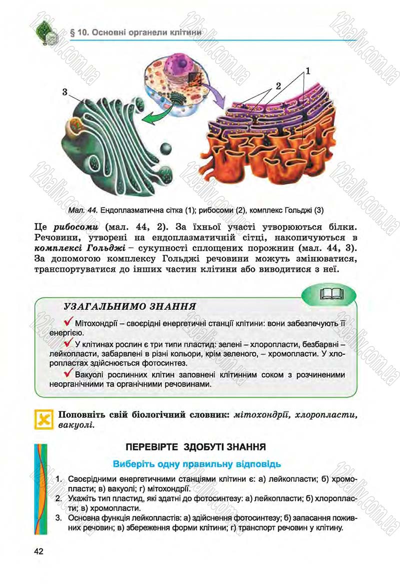 Сторінка 42 - Підручник Біологія 6 клас Л.І. Остапченко, П.Г. Балан, Н.Ю. Матяш 2014